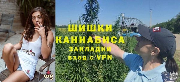 сатива Алзамай
