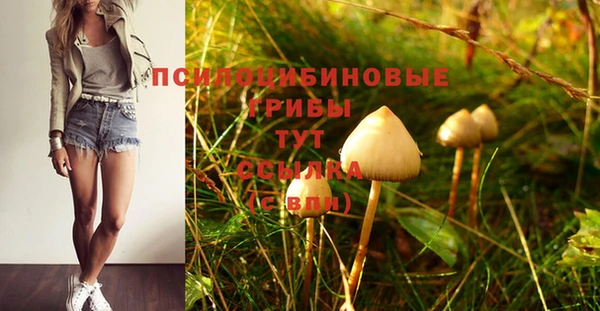 сатива Алзамай