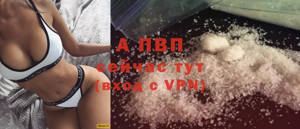 PSILOCYBIN Абаза