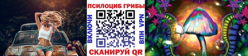 Галлюциногенные грибы Psilocybe  купить наркоту  ссылка на мегу как войти  Сухой Лог 